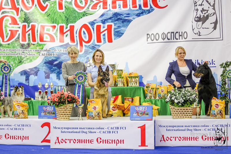 Тула рейтинговая выставка