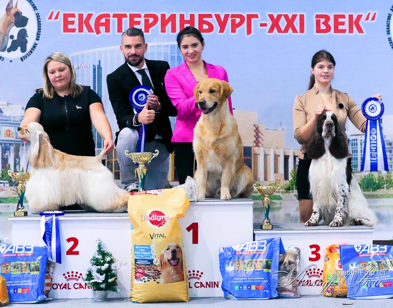 Тула рейтинговая выставка