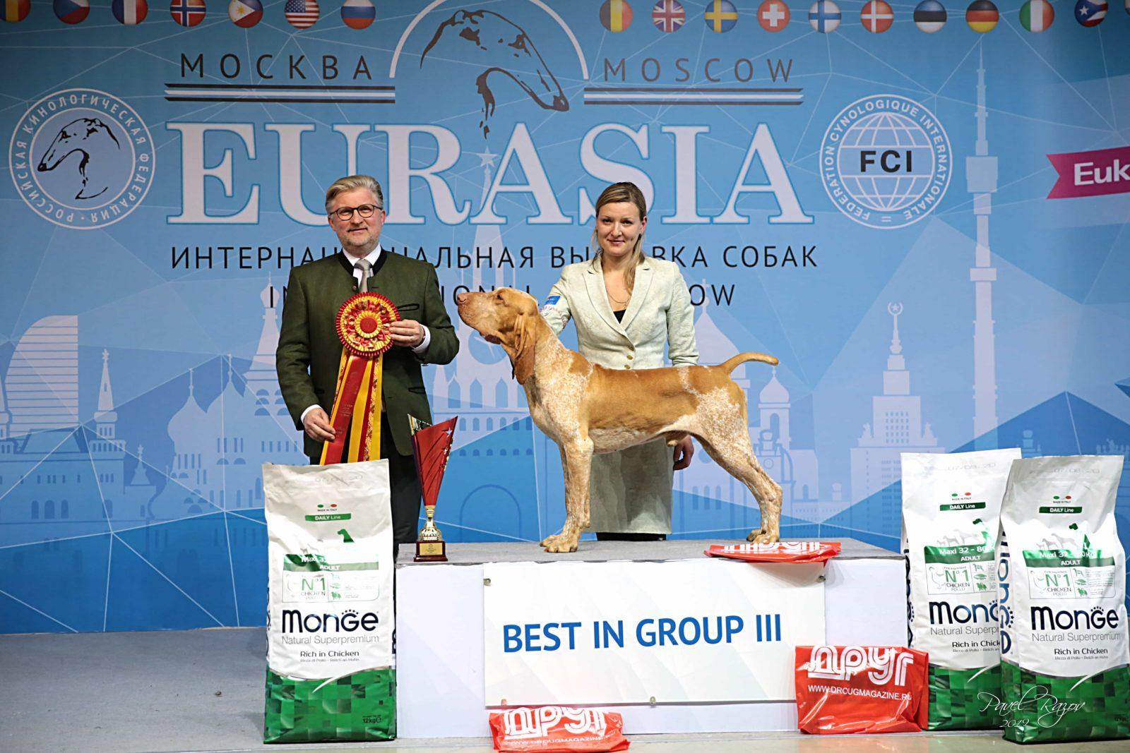 Выставочный рейтинг собак. World Dog show 2016 волонтеры. Хендлер на английском.