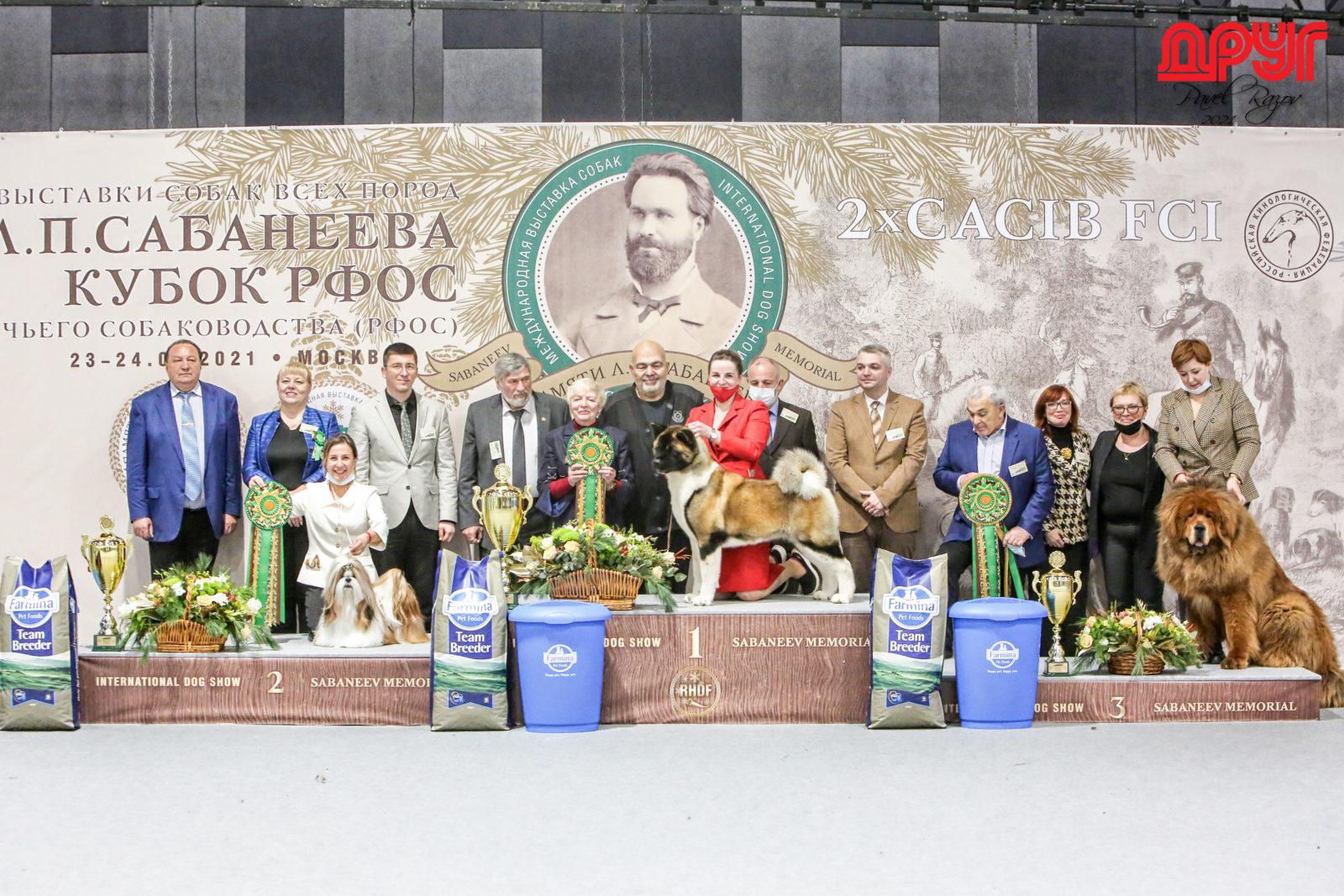 Выставка собак ростов 2024 май