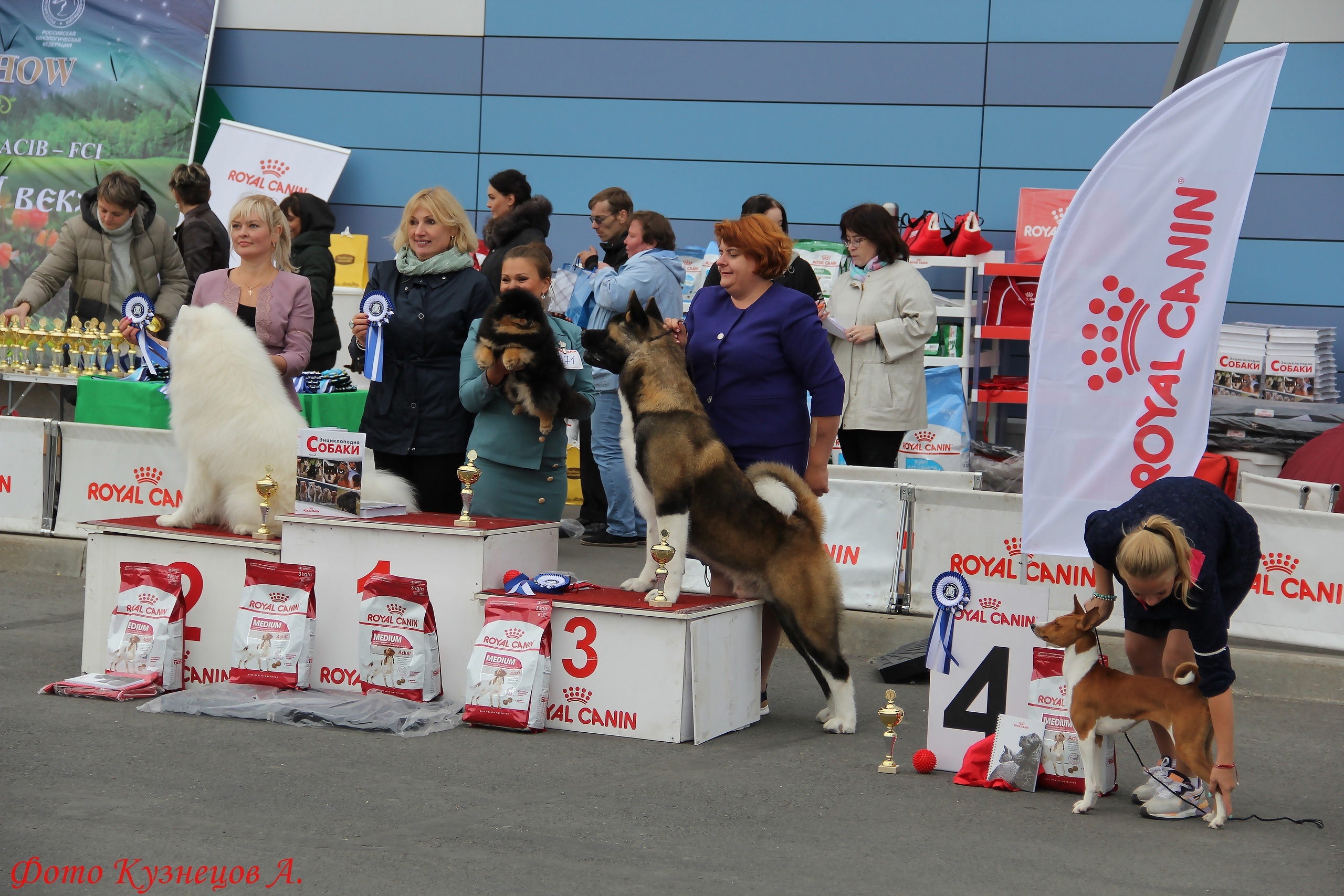 Выставочный рейтинг собак. World Dog show 2016 волонтеры.