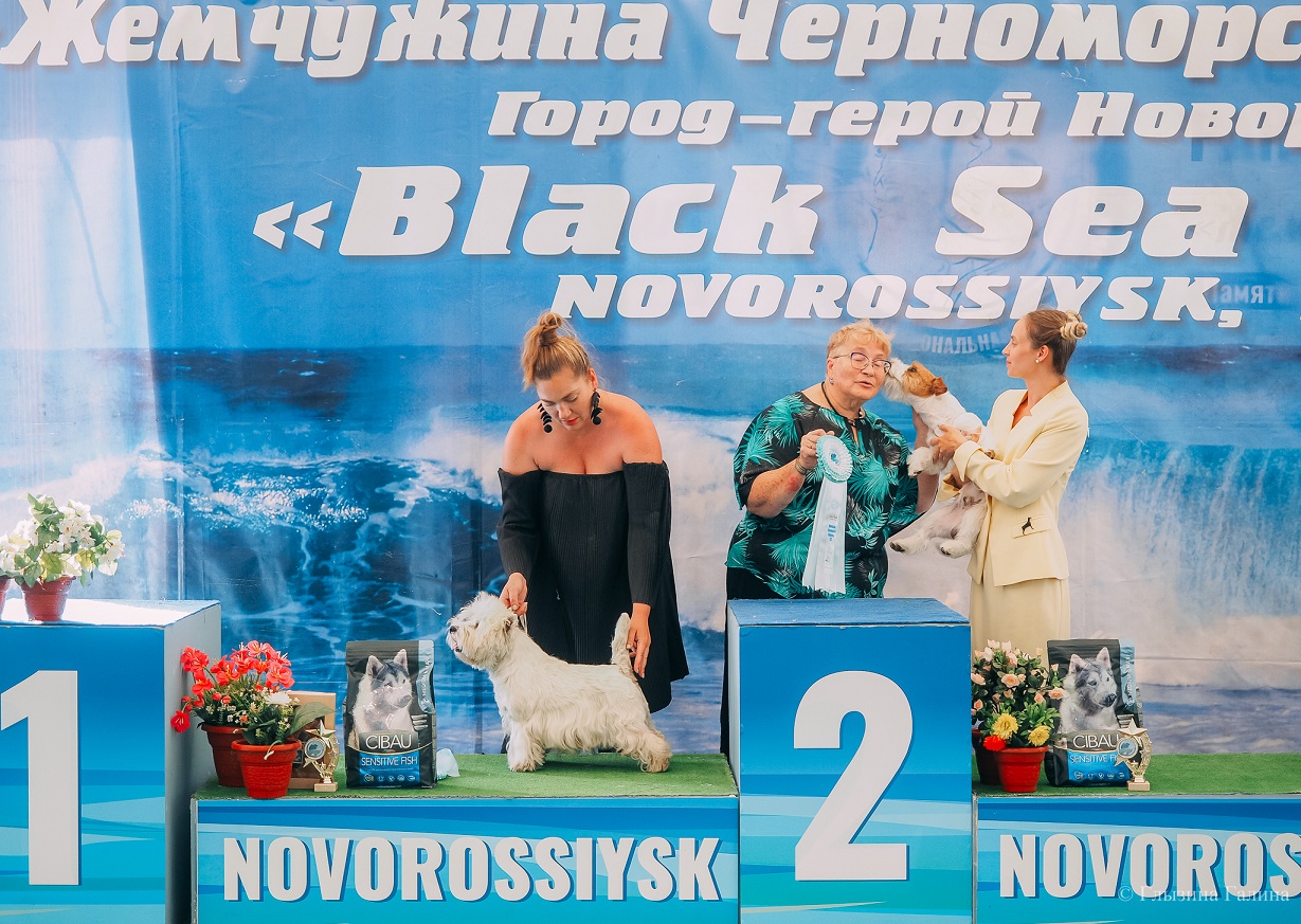 Тула рейтинговая выставка