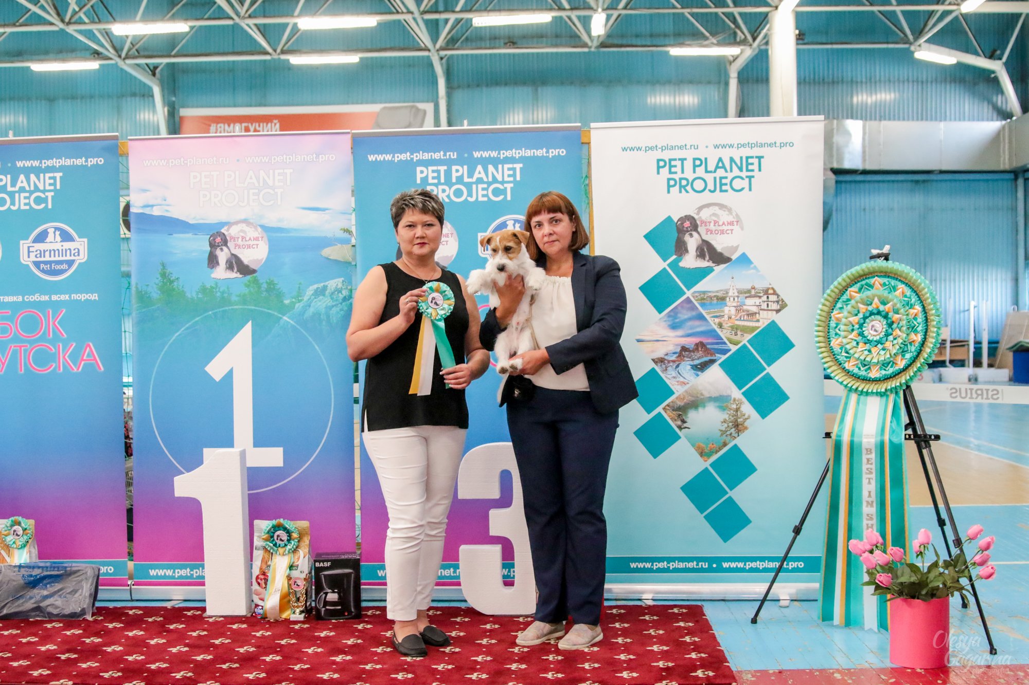 Тула рейтинговая выставка