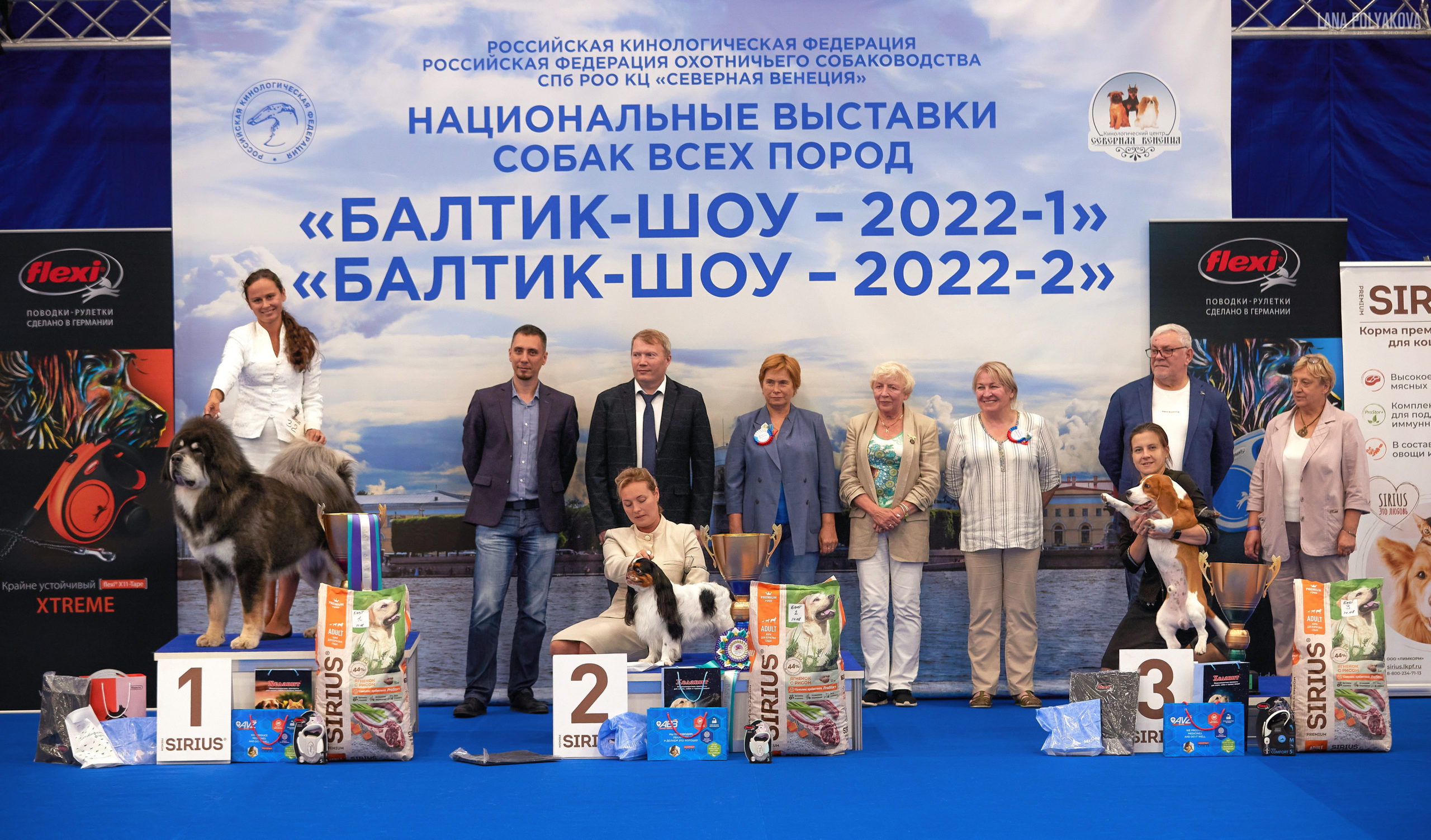 Выставка собак в москве 2023 год