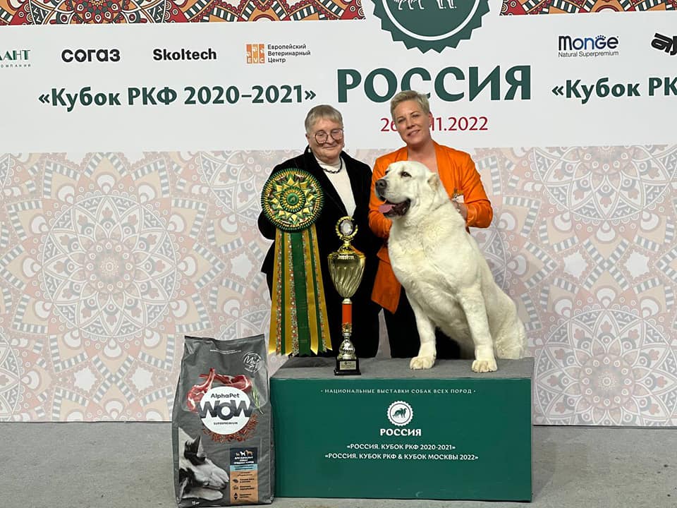 Тула рейтинговая выставка