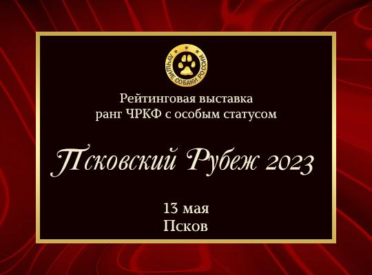 Проект российский учитель за рубежом 2023