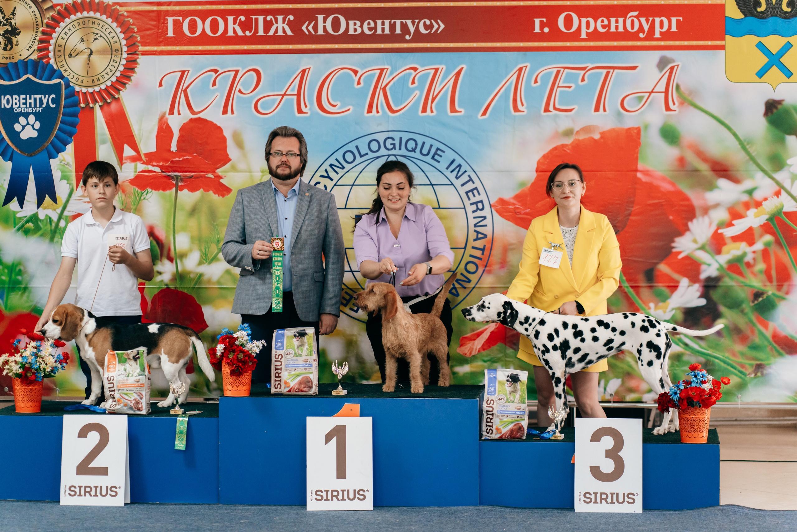 Тула рейтинговая выставка
