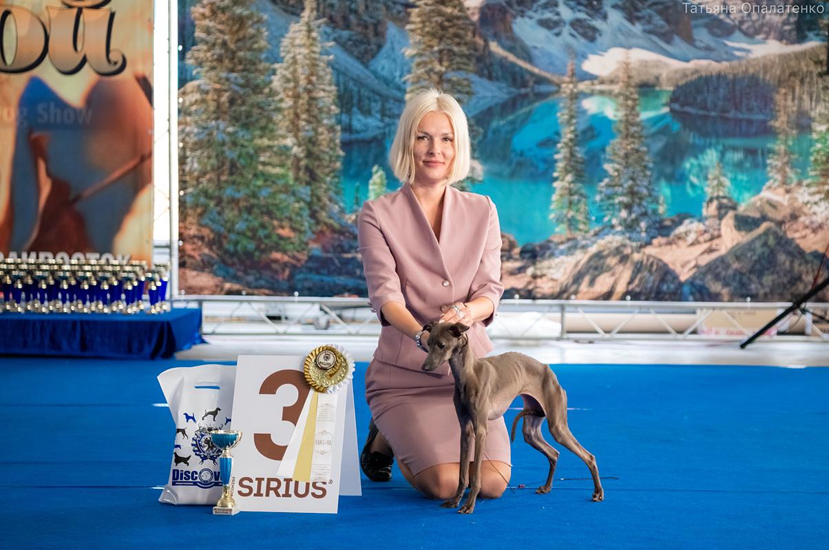 Татьяна Филимонова — Международный выставочный рейтинг шоу собак