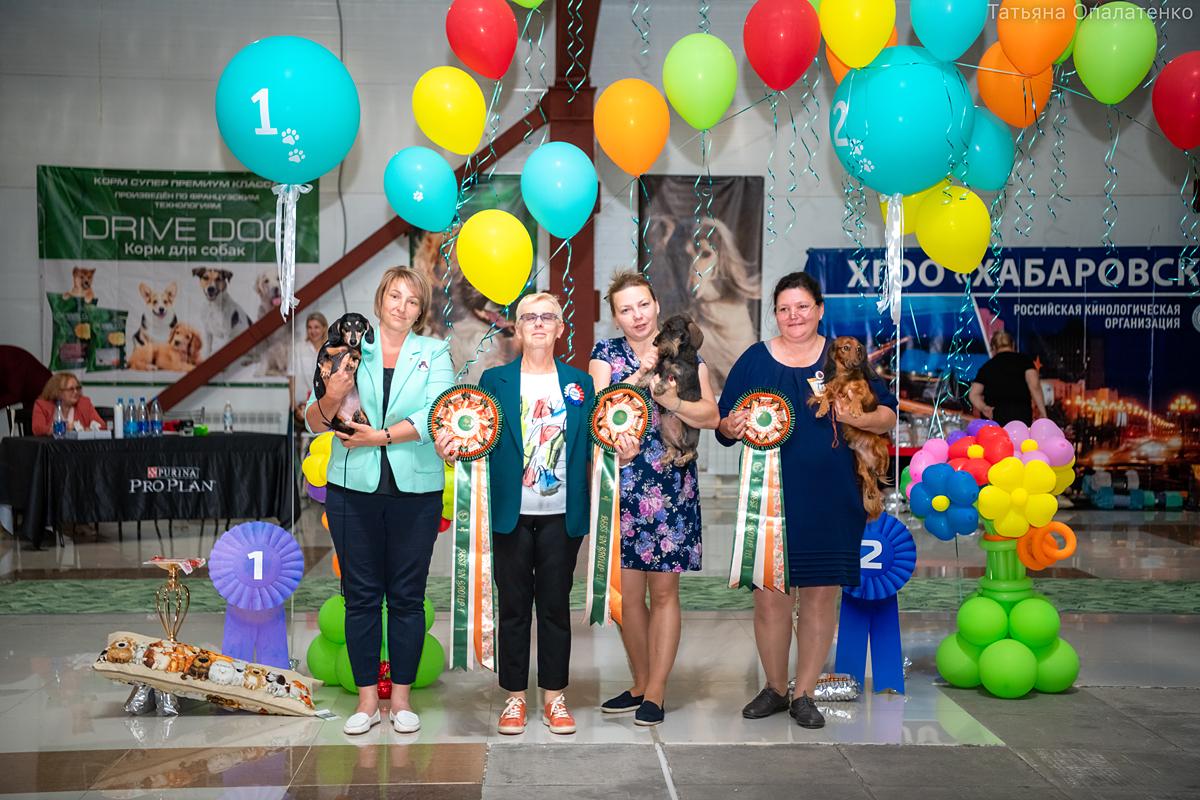 ЕЛЕСАНТО ДОДО — Международный выставочный рейтинг шоу собак